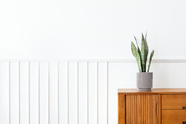 A wooden credenza and a plant against a white wall